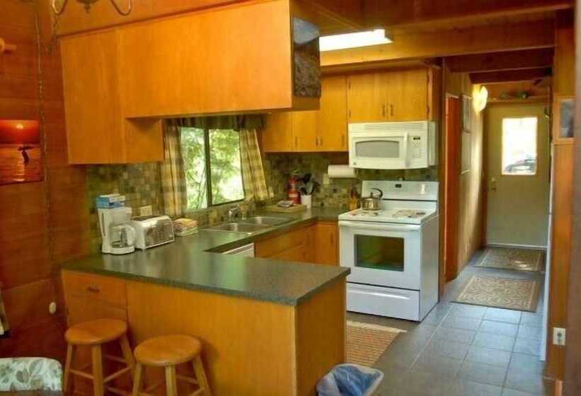 Mt Baker Lodging Cabin 53   Sleeps 6