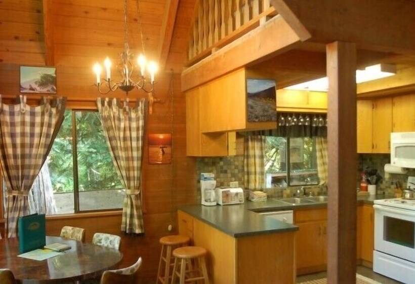 Mt Baker Lodging Cabin 53   Sleeps 6