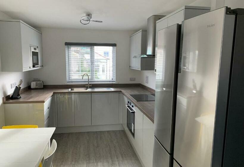 Paddington By Pureserviced