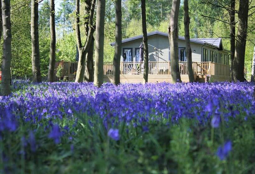 منتجع Hollicarrs   Wildflower Lodge