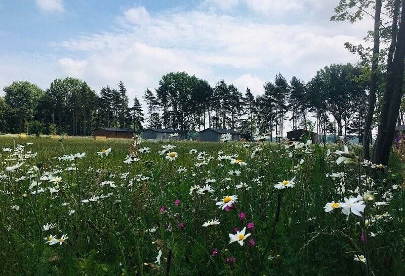 منتجع Hollicarrs   Wildflower Lodge