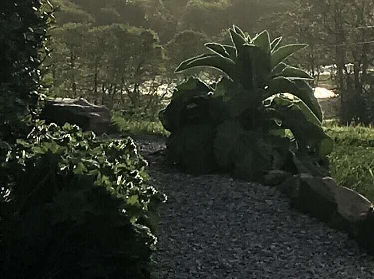 Romantic Shepherds Hut At Jacquies B And B