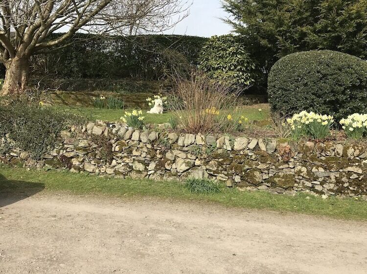 Romantic Shepherds Hut At Jacquies B And B