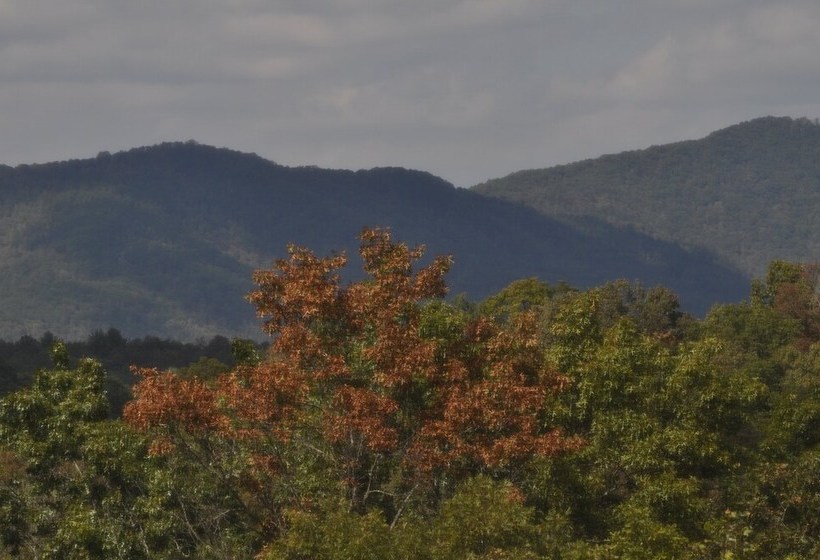 Treetops Mtn View Cabin Near Ocoee River