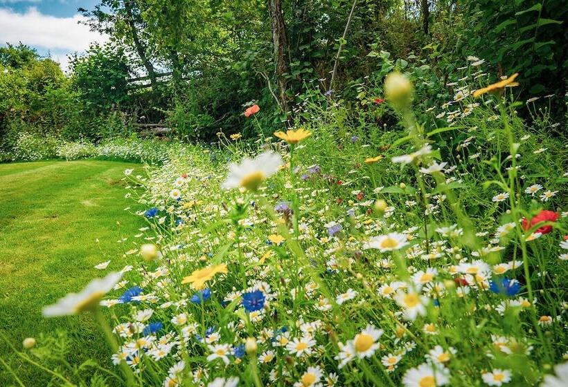 Weeke Brook   Quintessential Thatched Luxury Devon Cottage