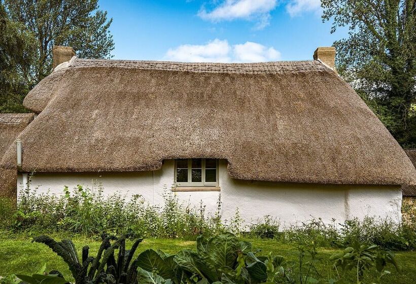 Weeke Brook   Quintessential Thatched Luxury Devon Cottage