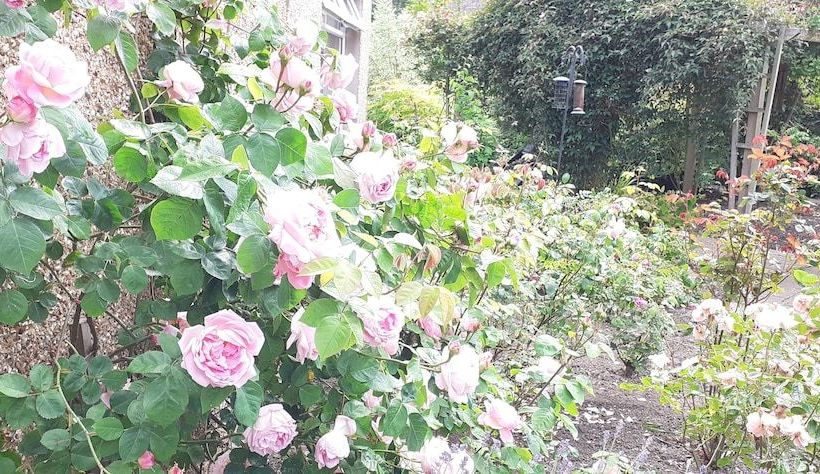 Abbeyside Holiday Cottage