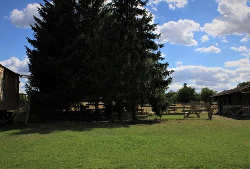 צימר Chambre Avec Spa Privé