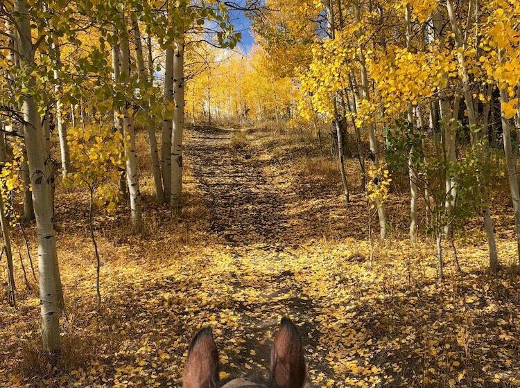 مبيت وإفطار Vista Verde Ranch All Inclusive   Lodge Room