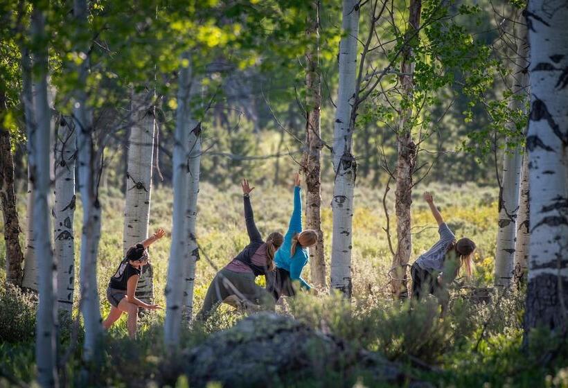 مبيت وإفطار Vista Verde Ranch All Inclusive   Lodge Room