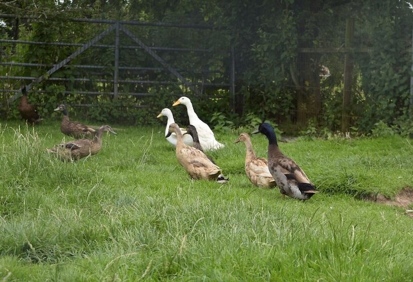 Cae Berllan Cottages