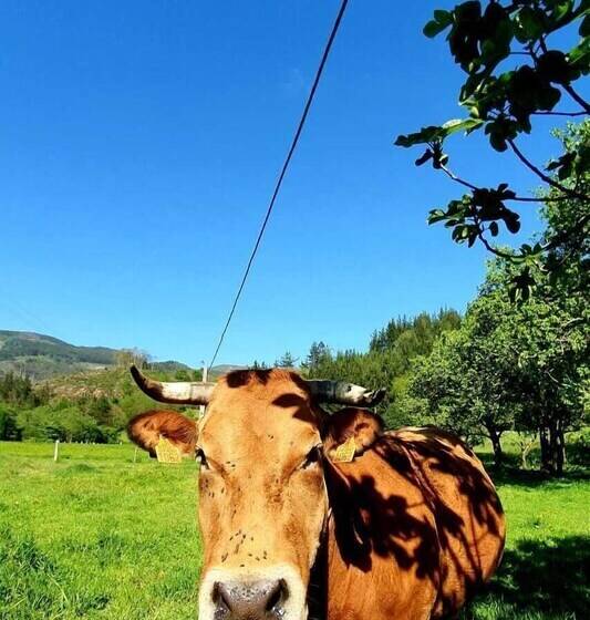 Casa Rural Madreselva 1