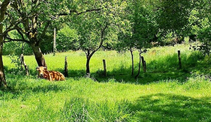 Casa Rural Madreselva 1