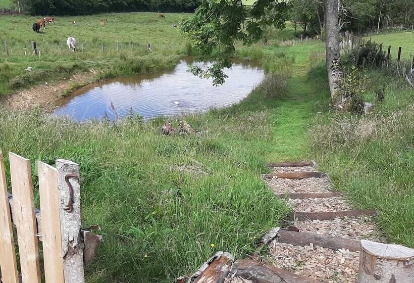 Eco Accommodation Cornflower Holiday