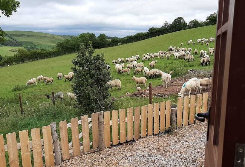 Eco Accommodation Cornflower Holiday