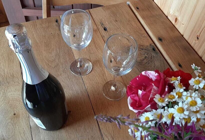 Eco Accommodation Cornflower Holiday