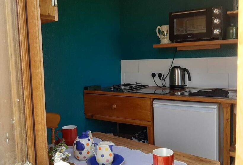 Eco Accommodation Cornflower Holiday