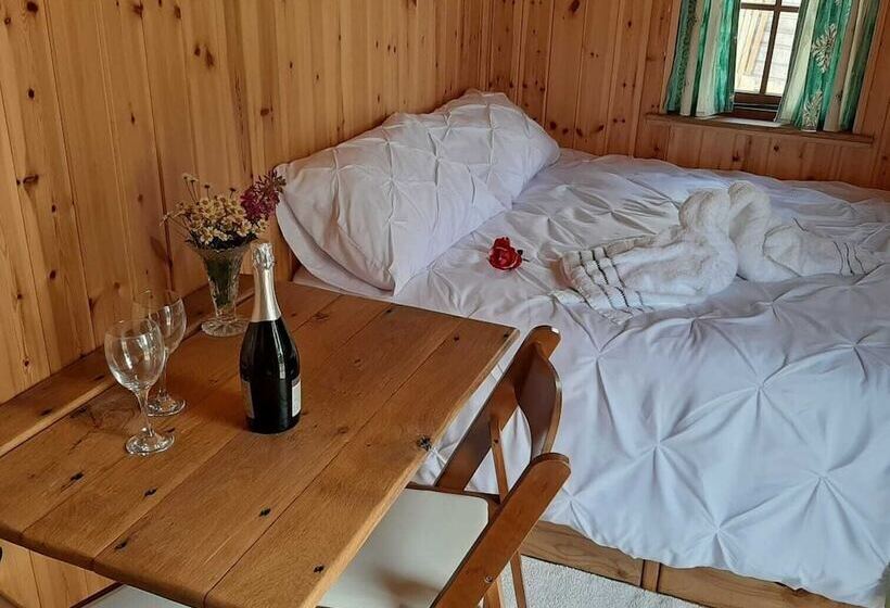 Eco Accommodation Cornflower Holiday