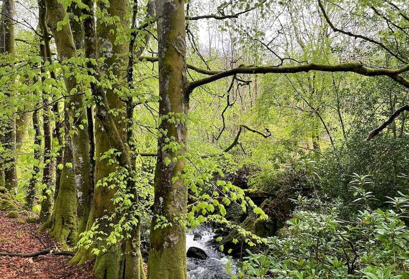 Cosy Woodland Off Grid Shepherds Hut   Hazel