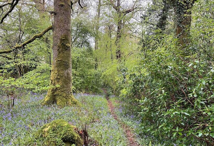 Cosy Woodland Off Grid Shepherds Hut   Hazel