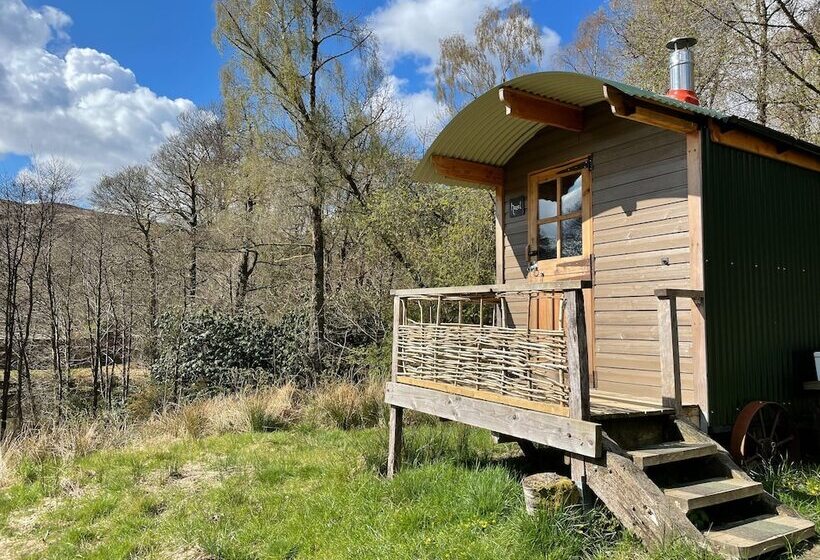 Cosy Woodland Off Grid Shepherds Hut   Hazel