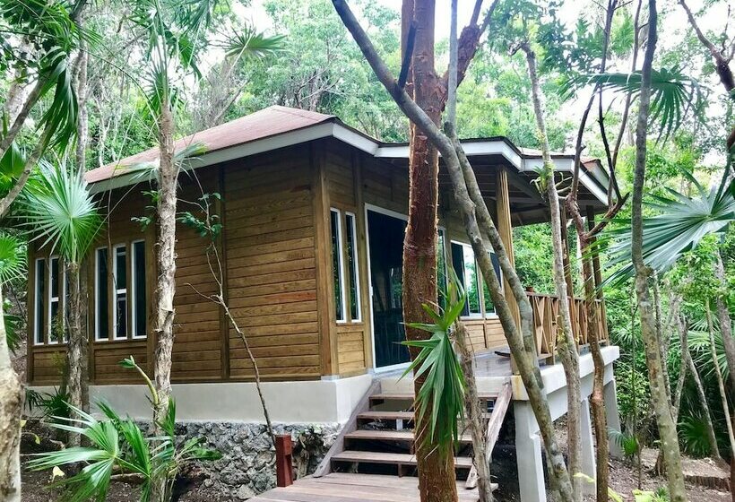 Eco Friendly Cabin Complex By Playa Paradise