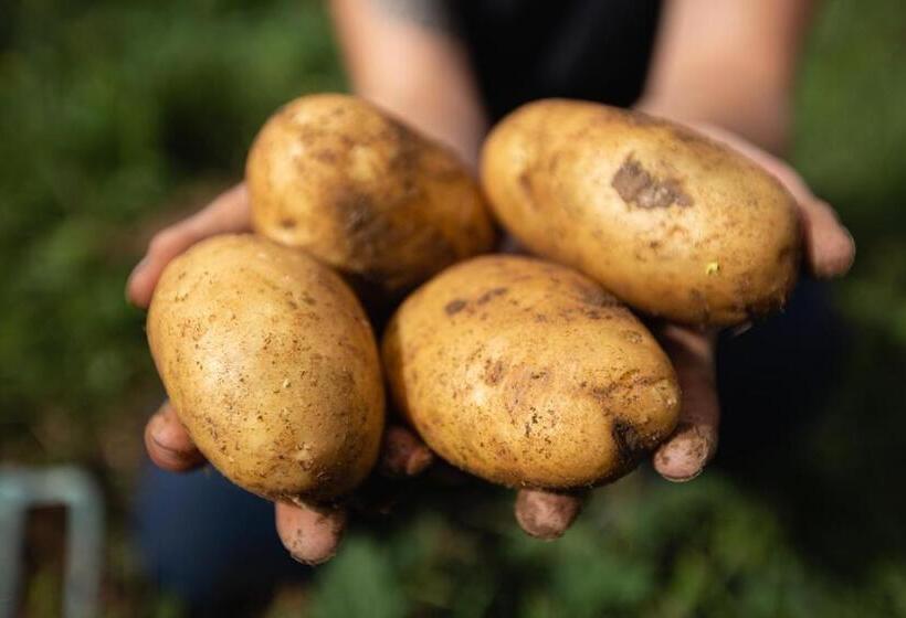 Holifield Farm Hostel & Community Project