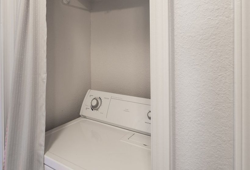 Horse Feathers By Vtrips