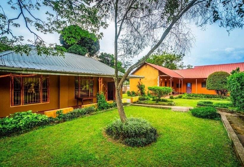 هتل Banana Village