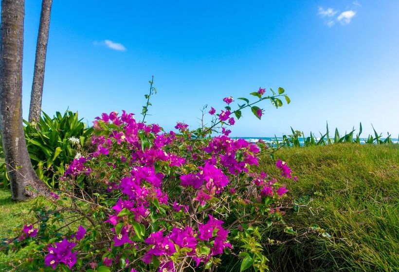 فندق Hanalei Colony Resort F3 2 Bedroom Condo