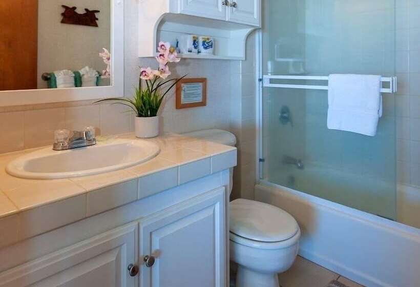 בית מלון כפרי Hanalei Colony Resort F3 2 Bedroom Condo