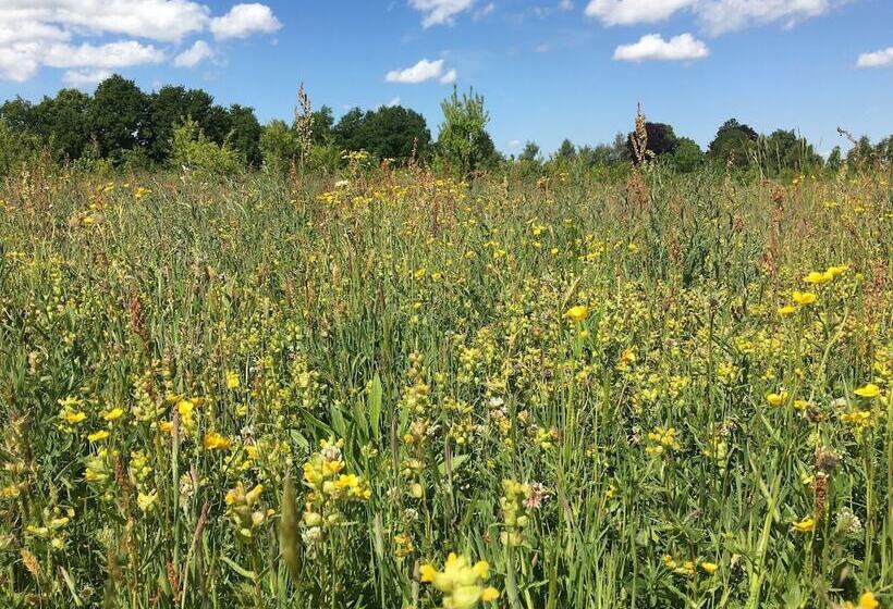 فندق Hollicarrs   Forest Retreat
