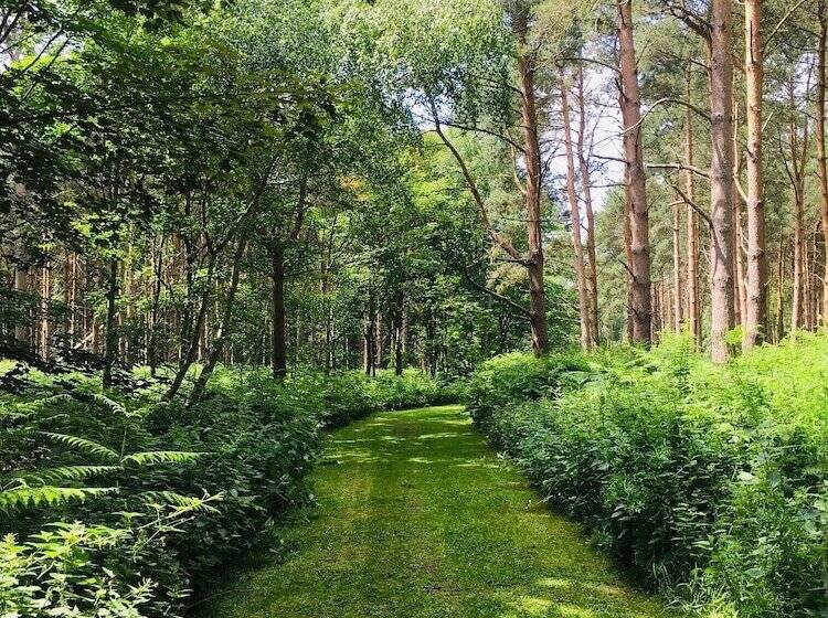 فندق Hollicarrs   Forest Retreat