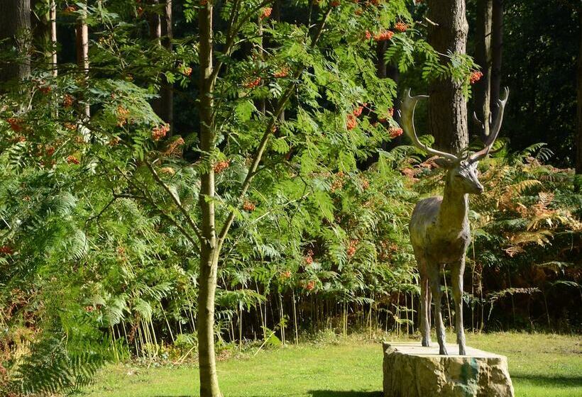 فندق Hollicarrs   Forest Retreat
