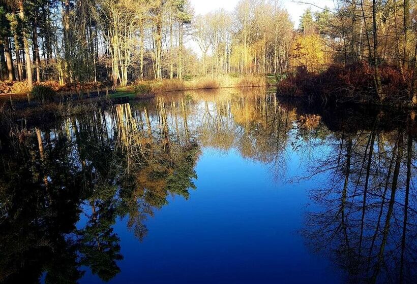 فندق Hollicarrs   Forest Retreat