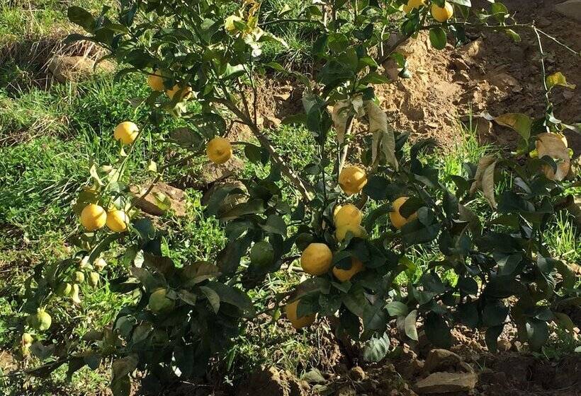 هتل روستایی Agroturismo Itxaspe