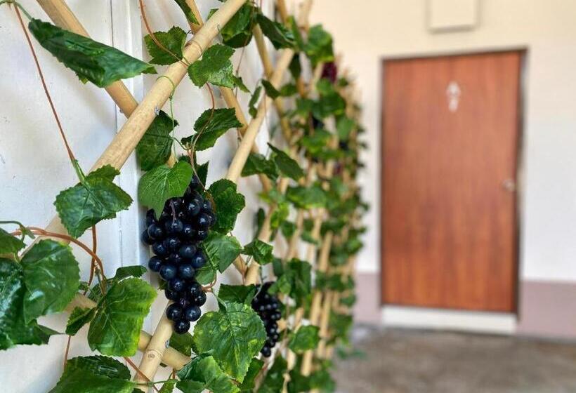 בית מלון כפרי Sweet Hug