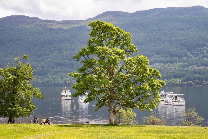 Отель The Tarbet