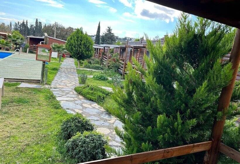 Отель Woodentowns