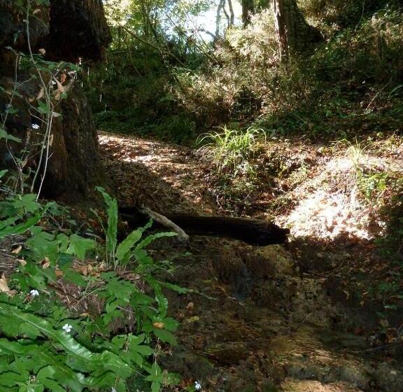 פנסיון La Cascade De Hauterive