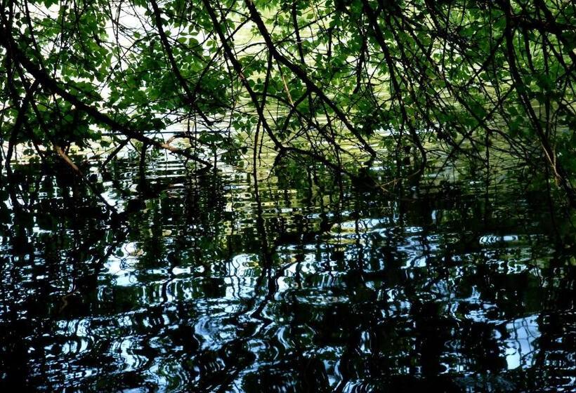 פנסיון La Cascade De Hauterive