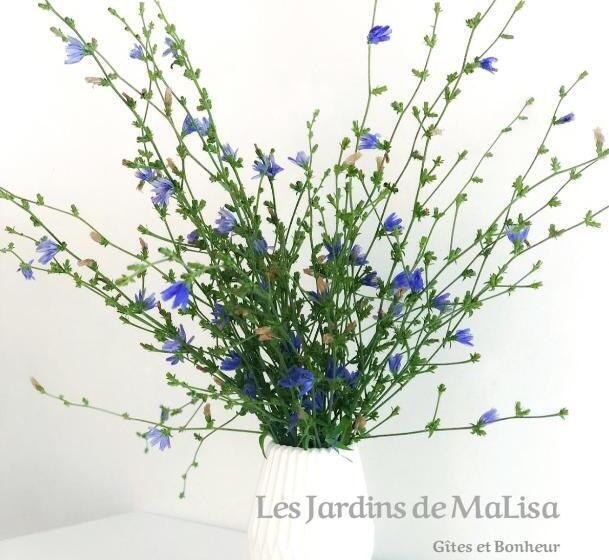 Пансион Les Jardins De Malisa