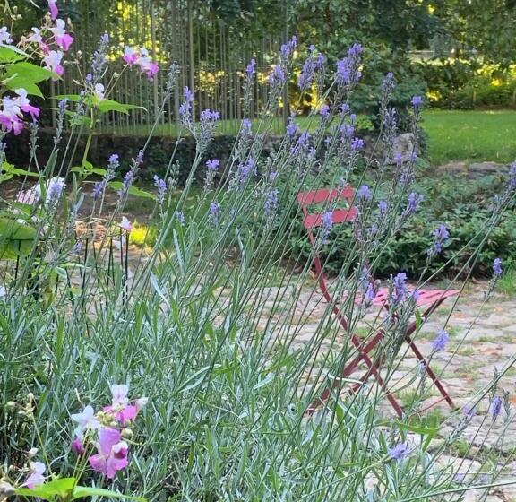 膳宿费 Moulin De Champrond Montmirail Sarthe