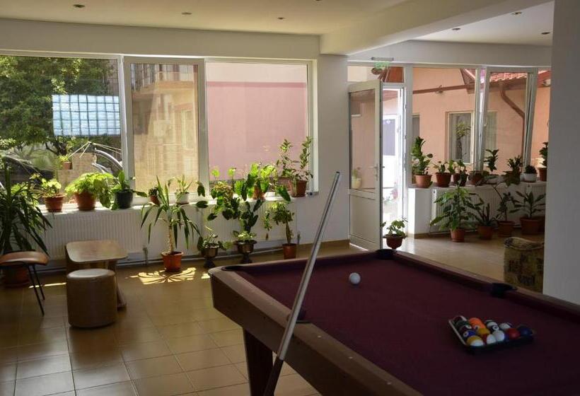 펜션 Vila Fery Costinesti