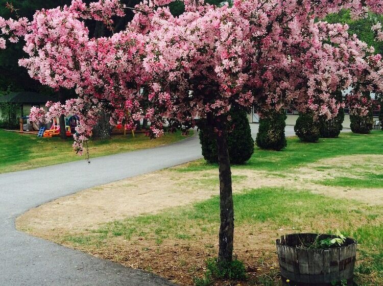 Perry S Motel And Cottages