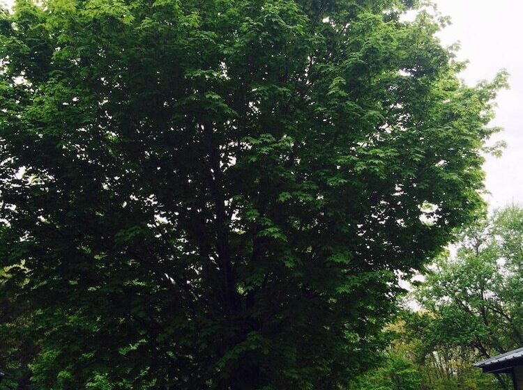 Perry S Motel And Cottages