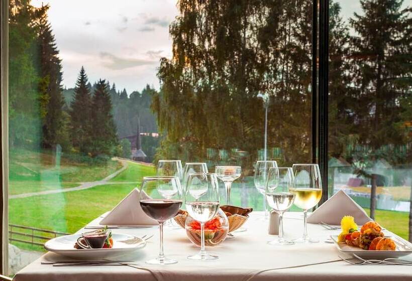 Ana Hotels Sport Poiana Brasov