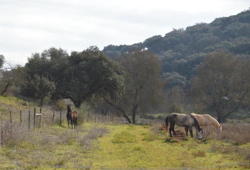 Herdade Ribeira De Borba