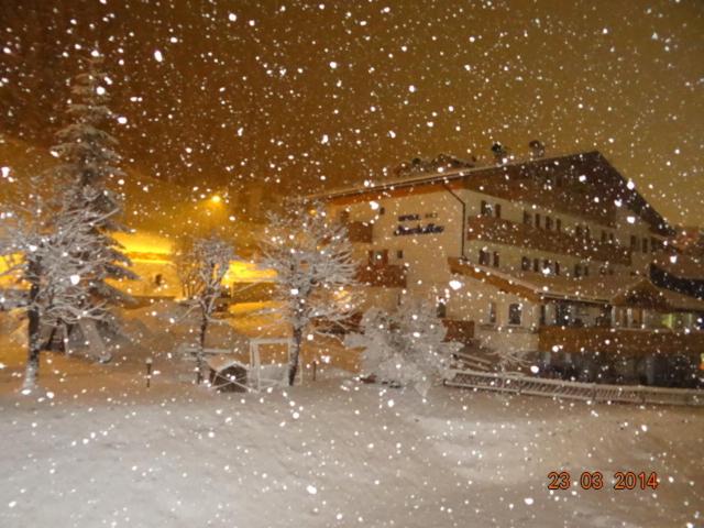 فندق Albergo Fiordaliso