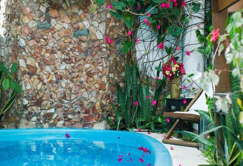 בית מלון כפרי All Blue